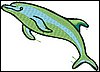 Delfiini 1