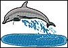 Delfiini 10