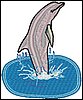 Delfiini 5